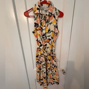 Linen Blend Pear Printed Shirt Dress w/ Tie Waist